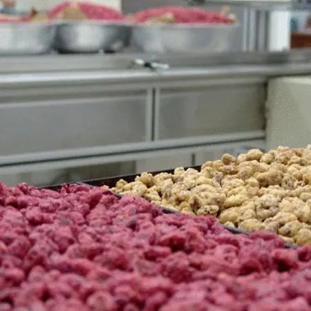 Apart-hotel Barbara & Svoronata